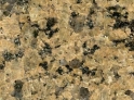 Tropical Brown