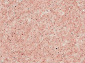 Crystal Coral